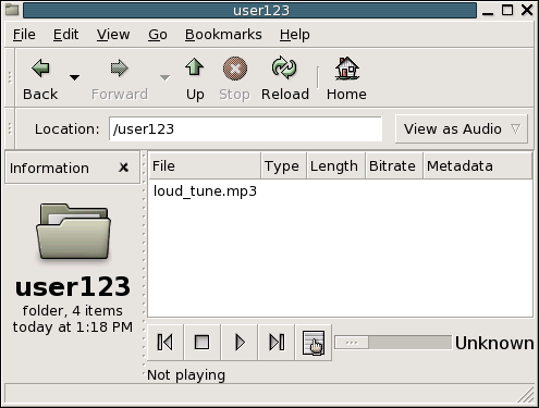Folder in file manager window, contents displayed in audio view.